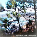 Апартаменты Amores De Asturias Пьедрас Бланкас