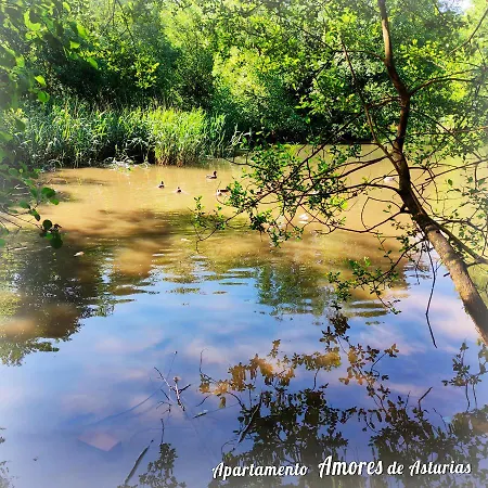 Amores De Asturias Piedras Blancas