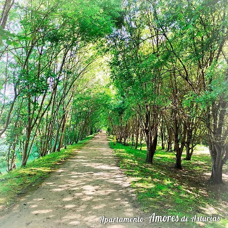 Amores De Asturias Lejlighed Piedras Blancas