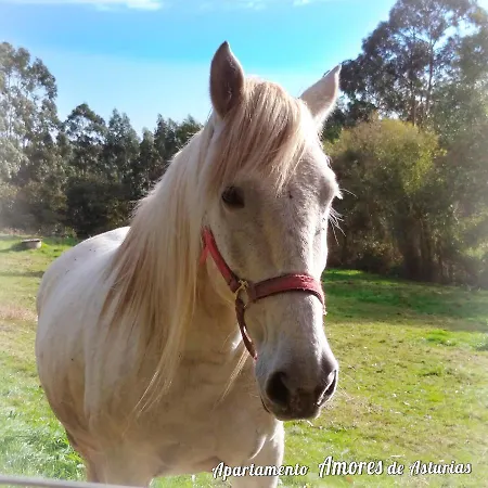 Lejlighed Amores De Asturias